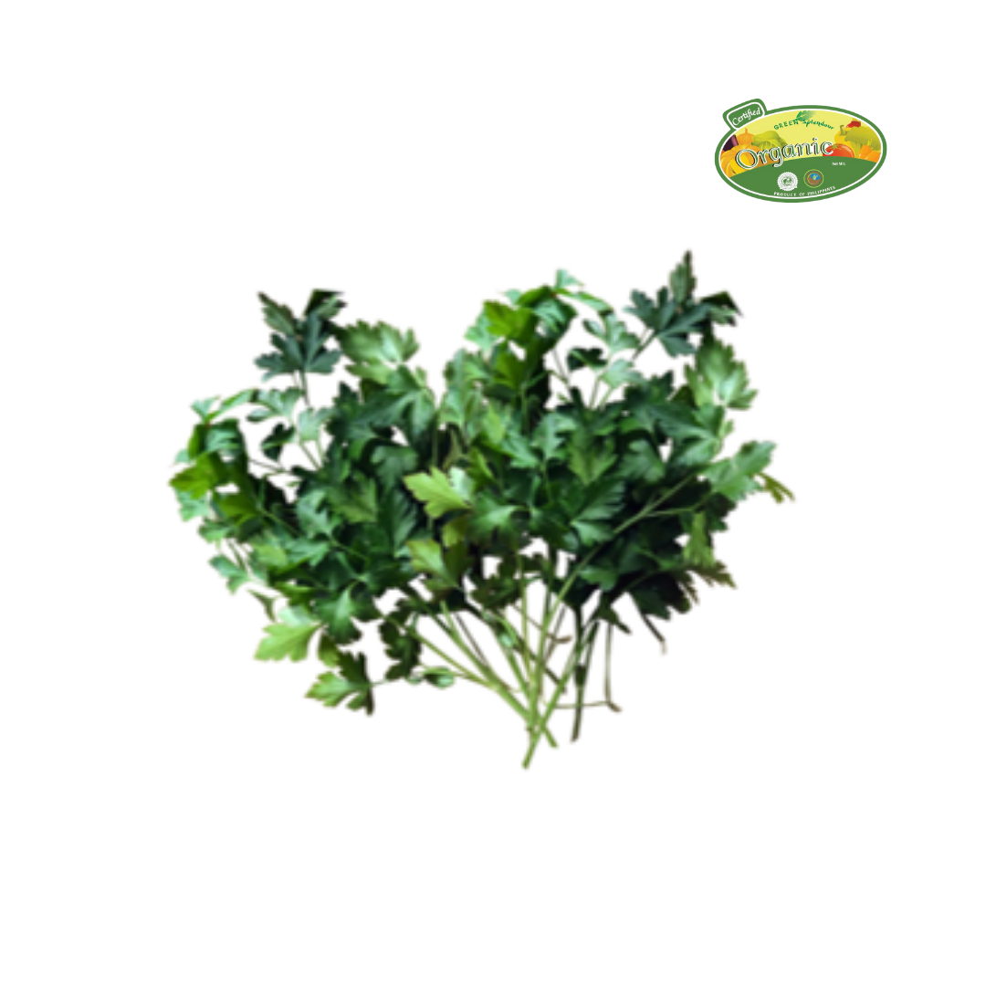 S&R Organic Italian Flat Parsley approx 50g